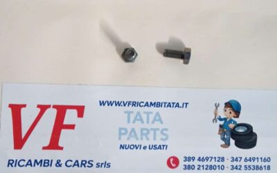 VITE ESAGONALE M10X22 IS1364P2-8.8-SS8451-8C