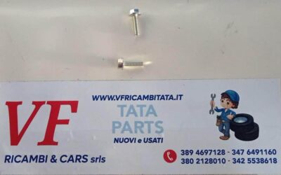 CLIPS VITE H/FL M6X22 TS17130 8.8 SS8451S2-Y