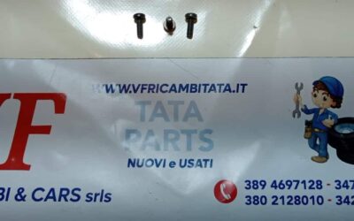 VITE COPRIRUOTA SCORTA – ( KIT DA 4 ) COD-I0001-8C