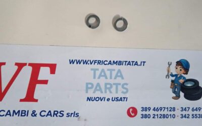 CLIPS – FERMO ELASTICO B10 IS3063 SS8451-8C