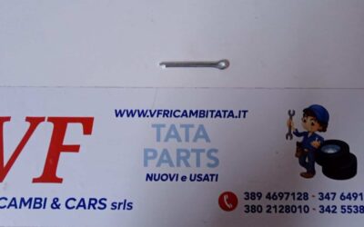 CLIPS – COPPIGLIA