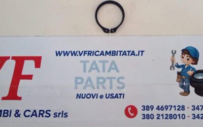 CLIPS – FERMO ELASTICO PARAOILIO POST CAMBIO – COD-AU0030 – 83D