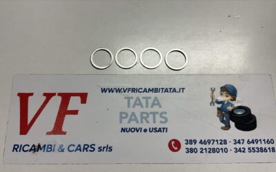 CLIPS RONDELLA DI TENUTA 22X27 IS31
