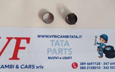 CLIPS – FERMO A MOLLA – COD-BA0058-TRV246