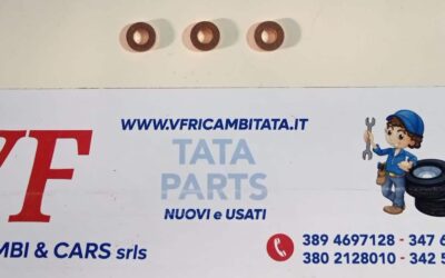 PER SAFARI 3.0 DICOR : KIT 4 RONDELLE INIETTORI GSF – COD-AT0026-83B