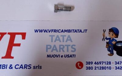 BULLONE FORATO ALTERNATORE – KIT REGISTRO – COD-Y0008 – 10D – LOW