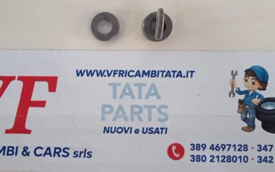 CLIPS RONDELLA – BULLONE TESTATA – COD-AT0027 – 83D