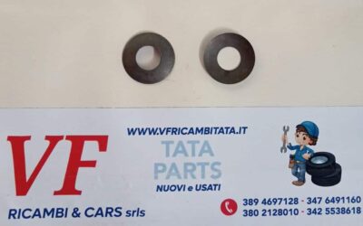 CLIPS RONDELLA DI SPINTA SATELLITI DIFFERENZIALE – COD-BA0052-TRV385