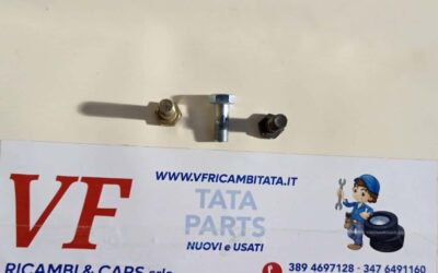 BULLONE ESAGONALE (MOZZO) – COD-AT0070-79B