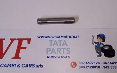 PER INDICA – INDIGO – (tutte le versioni) : COPPIA CONICA – ALBERINO PORTIERASATELLITI PLANETARI – COD-AN0042-66B