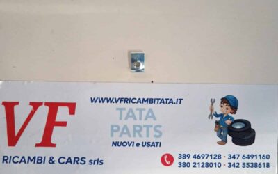 CLIPS – FERMO LOCARO ANT (M6) – GIGLIA – COD-AZ0007-79E