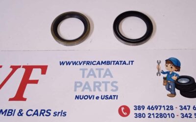 PER INDICA – INDIGO – (tutte le versioni) : FRENI POST. – PARAOLIO RUOTA – COD-AM0016-68B