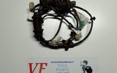 PER INDICA – INDIGO – (tutte le versioni) : CABLAGGIO PORTIERA POST SX – COD-A0049-28D