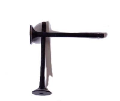 TATA ARIA 2.2 DICOR : VALVOLA DI SCARICO - COD-B0008-TRV325