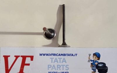 PER INDICA – INDIGO – (tutte le versioni) : VALVOLA SCARICO – COD-W0005