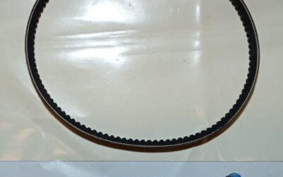 PER INDICA – INDIGO – (tutte le versioni) : SERVOSTERZO – CINGHIA SERVIZI 725MM – COD-C0056-TRV99