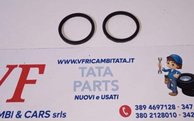 PER INDICA – INDIGO – (tutte le versioni) : TERMOSTATO – GUARNIZIONE – COD-AM0017-68C – PLUS