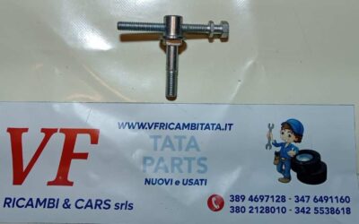 PER INDICA – INDIGO – (tutte le versioni) : TENSIONATORE PULEGGIA – COD-C0077-7C