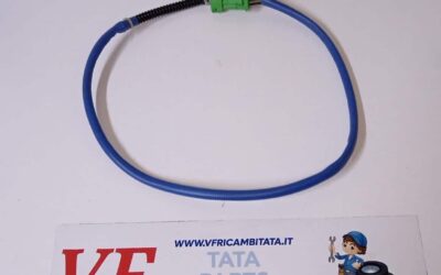PER INDICA – INDIGO – (tutte le versioni) : SONDA LAMBDA POSTERIORE LSF 4.2 – COD-BC0023-TRV202 – PLUS