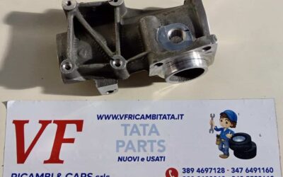 PER INDICA – INDIGO – (tutte le versioni) : TERMOSTATO – CONTENITORE – COD-AZ0063-81B