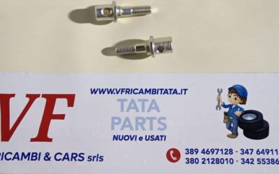 PER INDICA – INDIGO – (tutte le versioni) : REGISTRO PER PULEGGIA TENDITORE MTG.INA – COD-AU0095 – 78D