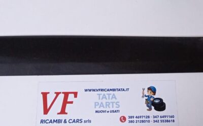PER INDICA – INDIGO – (tutte le versioni) : PROFILO PORTIERAPOST SX – COD-AP0076-65E