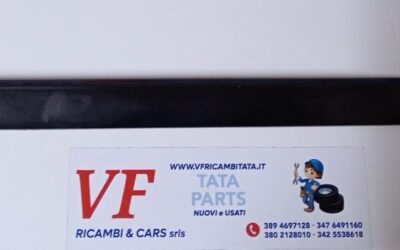PER TATA VISTA – (tutte le versioni) : MODANATURA PORTIERA ANT SX- COD-G0001-11C