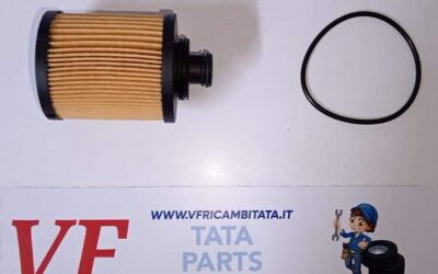 PER INDICA – INDIGO – (tutte le versioni) : FILTRO OLIO – COD-L0007-9A