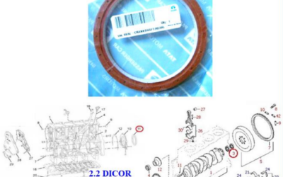PER SAFARI, PICK-UP TELCO, XENON e ARIA 2.2 DICOR : PARAOLIO POSTERIORE ALBERO MOTORE – COD-A0065-TRV327