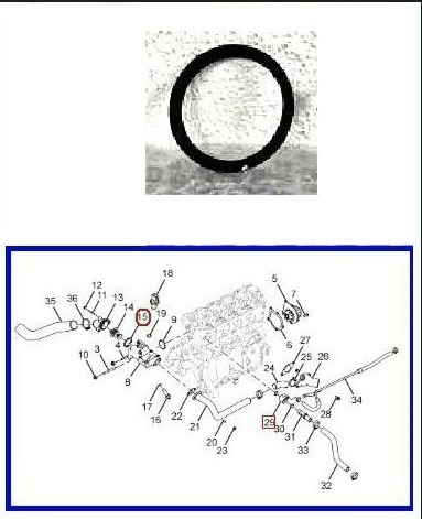 INDICA - INDIGO : GUARNIZIONE TERMOSTATO - COD-C0071-TRV203