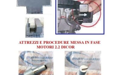 PER SAFARI, PICK-UP TELCO, XENON e TATA ARIA 2.2 DICOR : NOLEGGIO KIT ISTRUZIONI E MESSA IN FASE – COD-AE0020-9E – PLUS – NOS